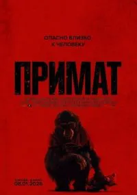 Примат